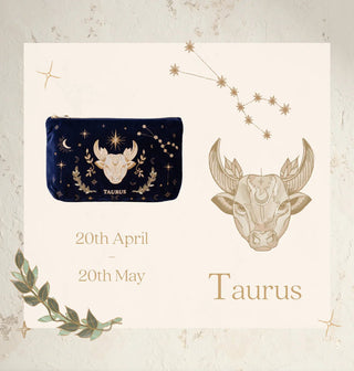 Elizabeth Scarlett Taurus Everyday Pouch Navy Blue - MMJs Fashion